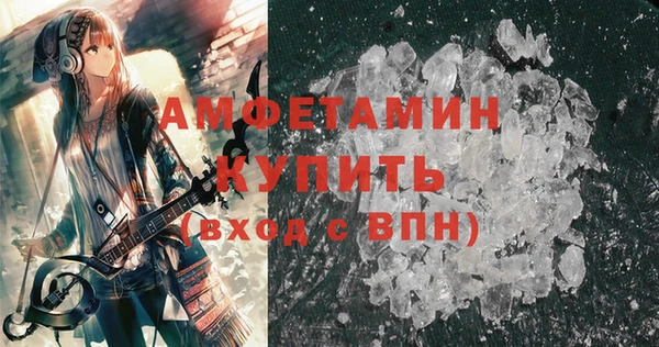 крисы Абаза
