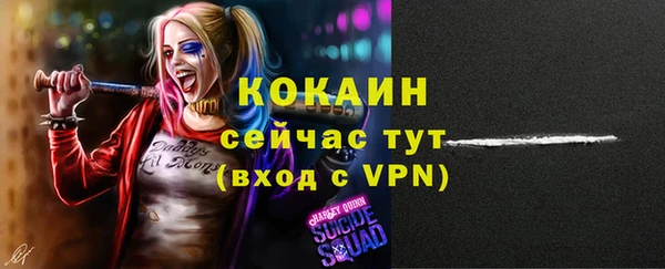 крисы Абаза