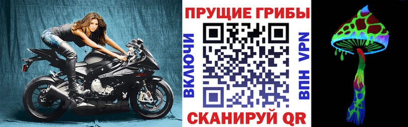 Псилоцибиновые грибы GOLDEN TEACHER  хочу наркоту  Магнитогорск 