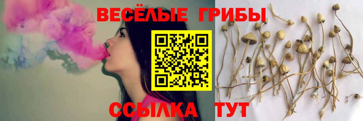 Псилоцибиновые грибы мухоморы  Вход с VPN  Псилоцибиновые грибы Cubensis  хочу   Магнитогорск 